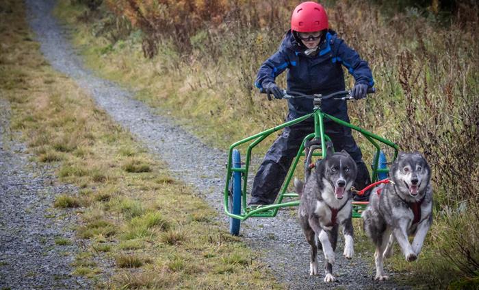 Intro to Mushing - Kids